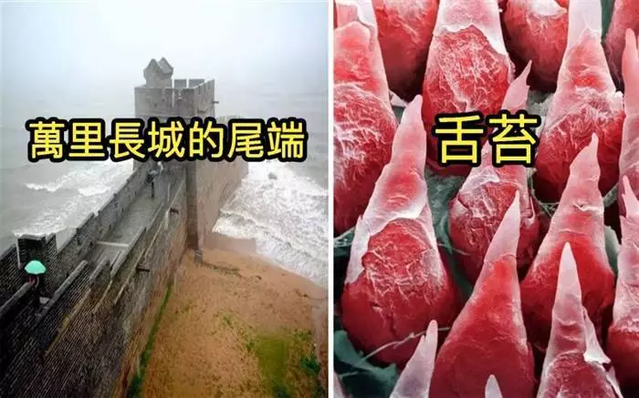 世界上只有1%的人看過的23張照片大開眼界!#在太空看到北極光~~~