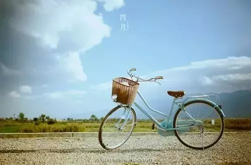 風雨人生路,你陪我一程,我念你一生