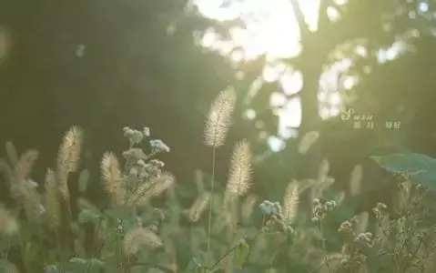 風雨人生路,你陪我一程,我念你一生