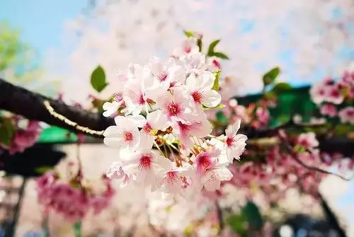 再多的錢也買不到東西,你知道多少?