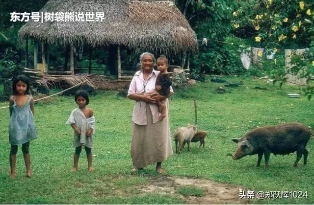 世界上最「透明」的國家:家家戶戶沒有牆壁,晚上睡覺根本不關門