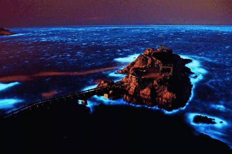 比鼓浪嶼更小眾浪漫,最適合情侶去的3座「藍眼淚」夢幻海島