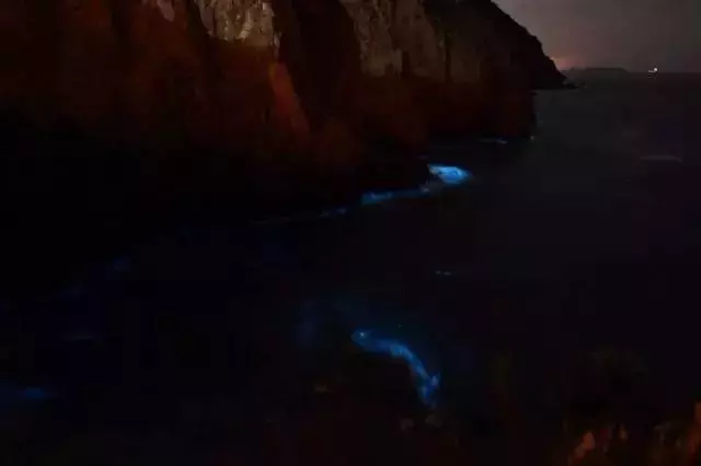 比鼓浪嶼更小眾浪漫,最適合情侶去的3座「藍眼淚」夢幻海島