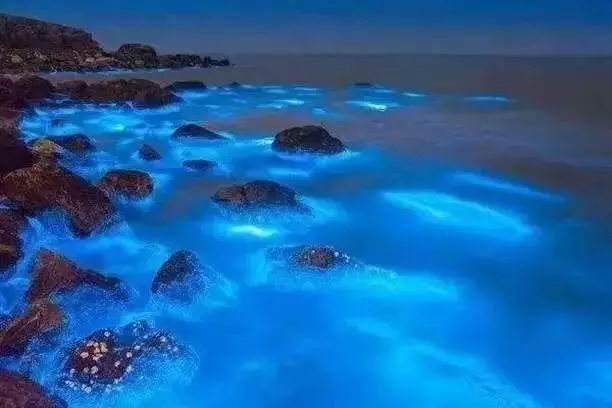 比鼓浪嶼更小眾浪漫,最適合情侶去的3座「藍眼淚」夢幻海島