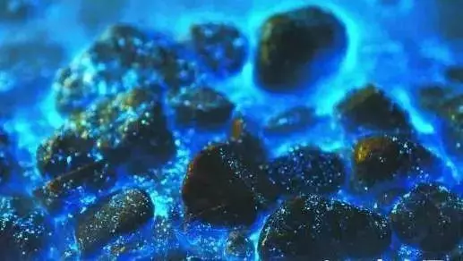 比鼓浪嶼更小眾浪漫,最適合情侶去的3座「藍眼淚」夢幻海島