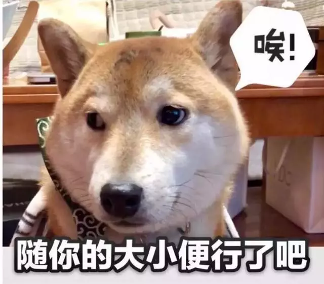 關於狗狗拉屎這件事,我可以說上好幾天