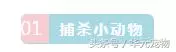 投喂流浪貓,我真的做錯了麼?