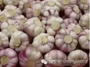 超神!自從我用過這招一週後,蟑螂螞蟻蚊子已不住我家!沒想到能100%見效又不殺生!快學!