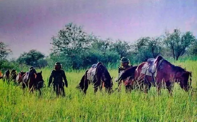 中國最危險的邊防區,士兵睡覺都要全副武裝,7條軍犬已犧牲