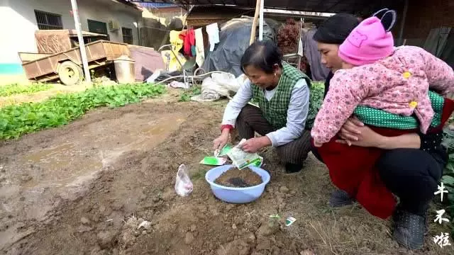 孫子才四個月,兒媳又被查出三個月身孕,孩子出生後全家無法淡定