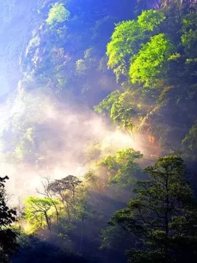 平平淡淡才是真,平平安安才是福