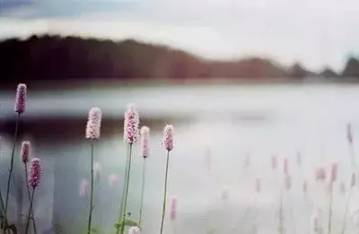 平平淡淡才是真,平平安安才是福