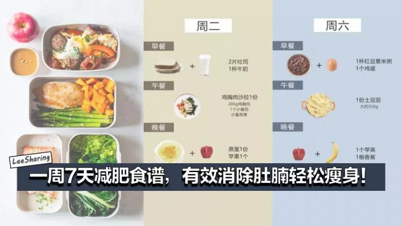 一周7天減肥食譜,有效消除肚腩輕鬆瘦 身!想要「小蠻腰」就跟著吃!