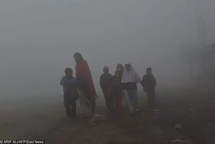 21張證明地球「已經快來不及救了」的真實照片 熊把垃圾袋當成獵物...
