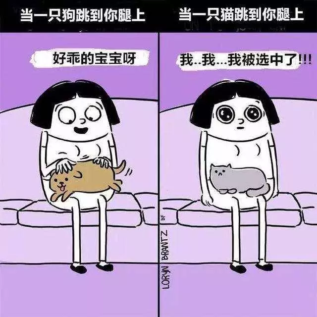 「養狗vs養貓」差在哪?「爆笑插畫」戳中鏟屎官:太寫實了~