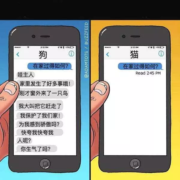 「養狗vs養貓」差在哪?「爆笑插畫」戳中鏟屎官:太寫實了~