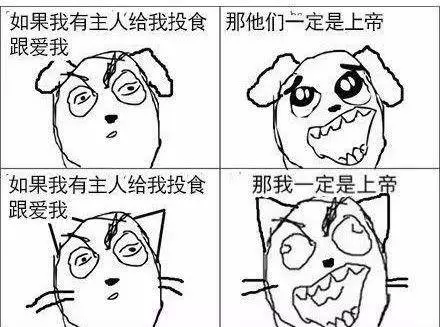 「養狗vs養貓」差在哪?「爆笑插畫」戳中鏟屎官:太寫實了~