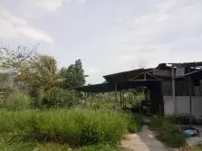 【名家】藍中華:一個被遺忘的改革目標——國家檔案局 | 東方網 | 馬來西亞東方日報