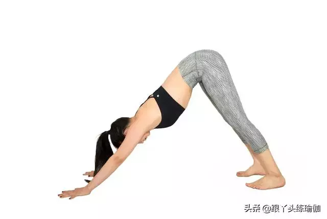 這12式瑜伽體式堪稱「減肥藥」,能照做就一定會瘦!