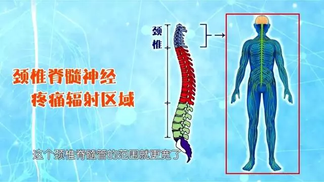 疼痛、麻木、發冷?醫生:跟我學緩解頸椎鍛煉方法和腰椎鍛煉方法