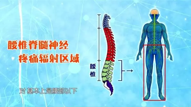 疼痛、麻木、發冷?醫生:跟我學緩解頸椎鍛煉方法和腰椎鍛煉方法