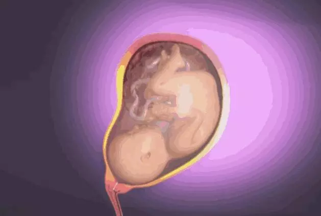 順產到底有多痛?女人到底有多不容易?老公看完18張圖,說:不生了