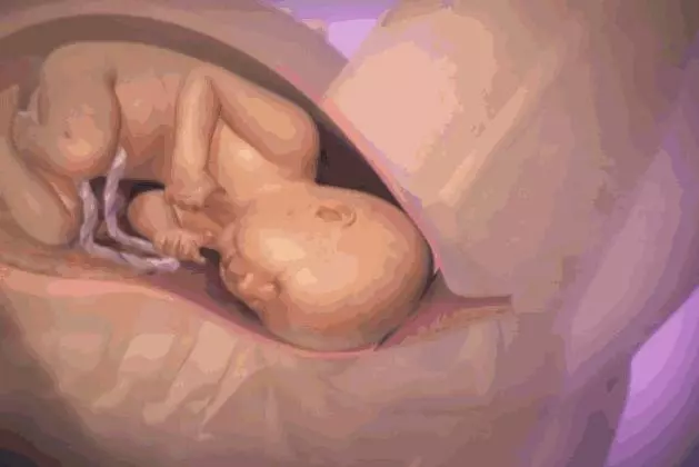 順產到底有多痛?女人到底有多不容易?老公看完18張圖,說:不生了