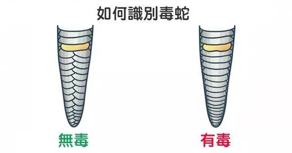 16個不想突然死掉就一定要記在心裡的救命小知識!~~~
