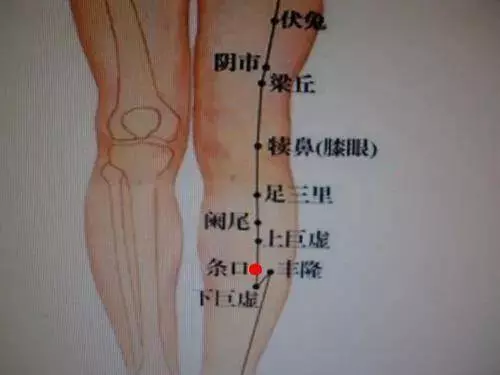 紅糖+黑豆,是滑膜炎「救命藥」,減少膝關節疼痛發炎,趕走腿腳麻木