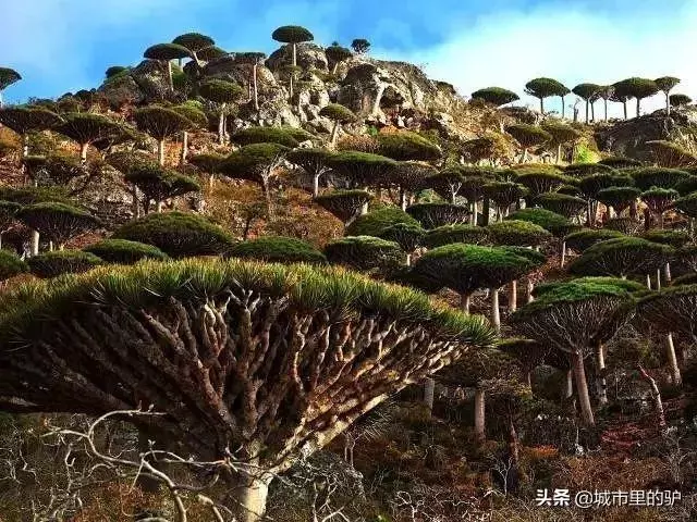 全球66個自然奇觀,地球太不可思議了!