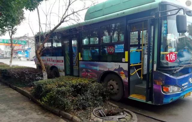公交車上女子因沒有讓座,遭到老人怒罵,她掀開衣服,全車安靜