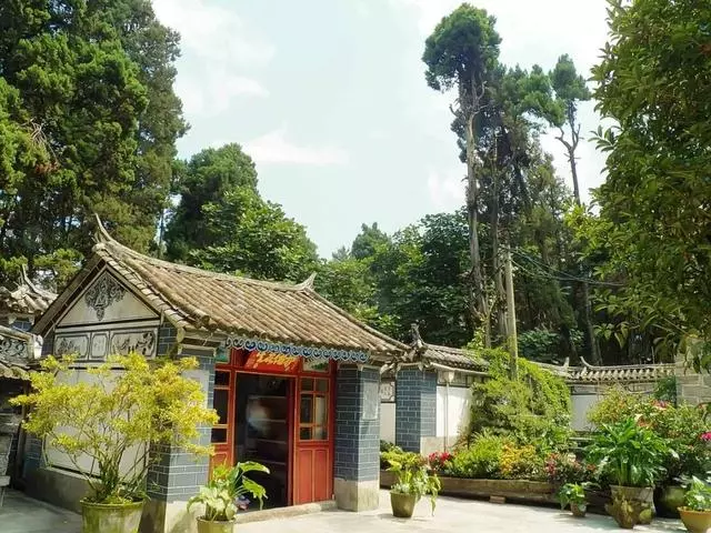 最美「尼姑庵」火了!只種花不燒香,網友驚呼:看一眼就想出家!