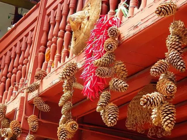 最美「尼姑庵」火了!只種花不燒香,網友驚呼:看一眼就想出家!