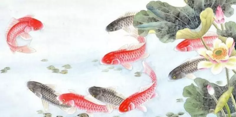 五月份財運最好的4大生肖!