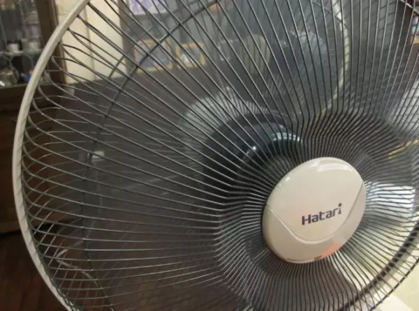 專家警告「睡覺時開電扇」的4大嚴重影響!網友:難怪一覺醒來都覺得身體怪怪的!