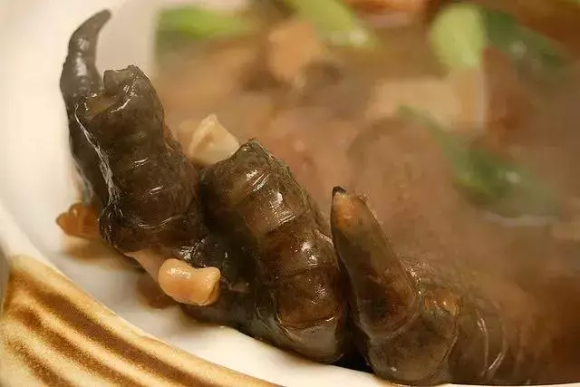 新加坡這些食物太奇葩了,連廣東人都不敢吃~