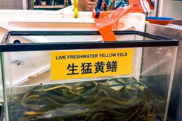 新加坡這些食物太奇葩了,連廣東人都不敢吃~