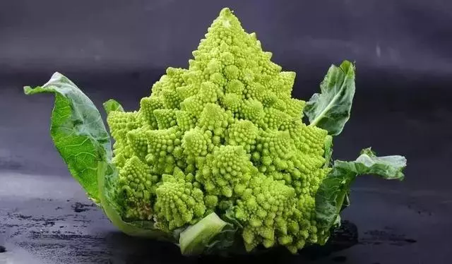 新加坡這些食物太奇葩了,連廣東人都不敢吃~