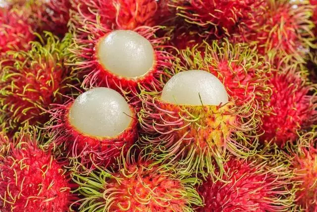 新加坡這些食物太奇葩了,連廣東人都不敢吃~