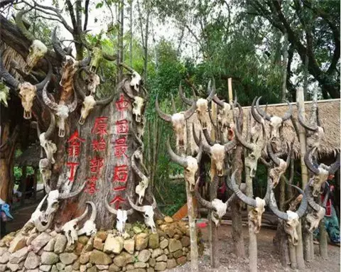 最後的原始部落!一夫多妻男人天堂?遊客:十二三歲就當媽!