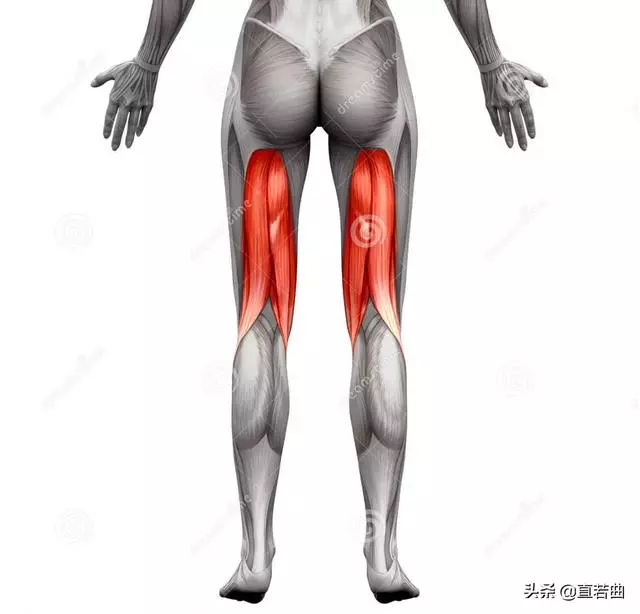 大腿僵硬害你骨盆後傾又駝背,每天60秒矯正操就能改善