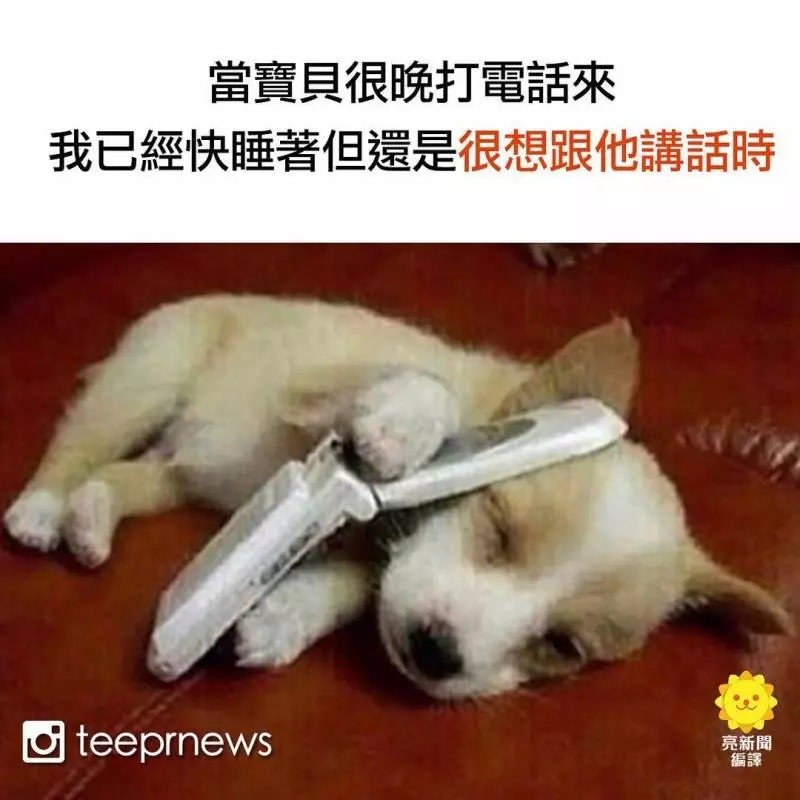 21張跟你「悲慘的感情生活最貼切」的愛情梗圖 你也被詛咒了嗎?