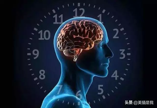 你的健身時間可能錯了,這個時間,健身效果最高效!