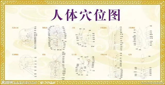穴位 到底什麼是穴位