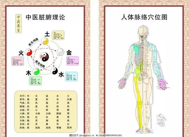穴位 到底什麼是穴位