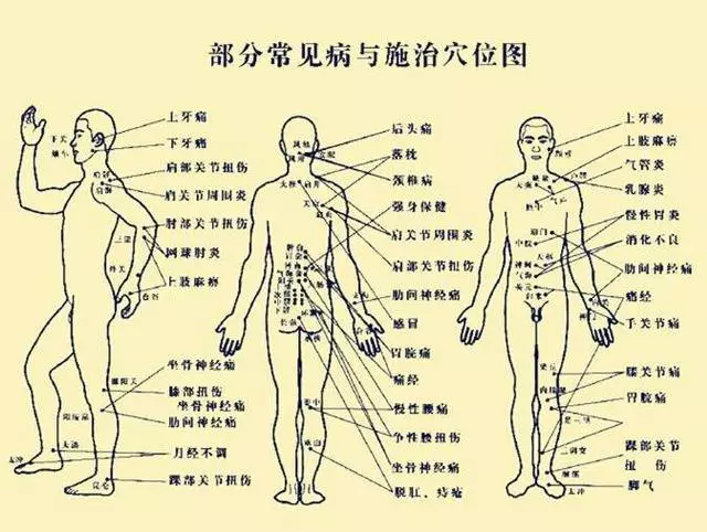 穴位 到底什麼是穴位