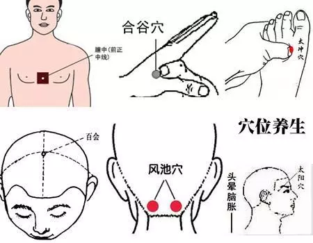 穴位 到底什麼是穴位