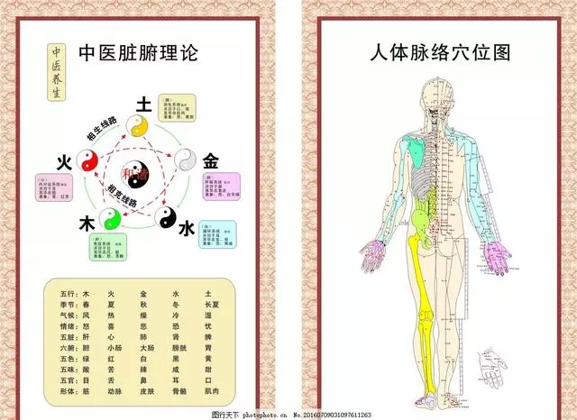 穴位 到底什麼是穴位