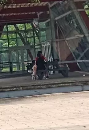 公園疊坐緊貼!彰化小情侶手動「磨豆漿」 激情片讓網嗨翻