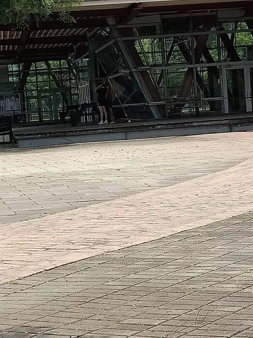 公園疊坐緊貼!彰化小情侶手動「磨豆漿」 激情片讓網嗨翻